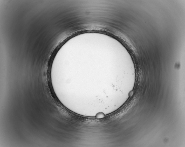 X0000101970978200808151334