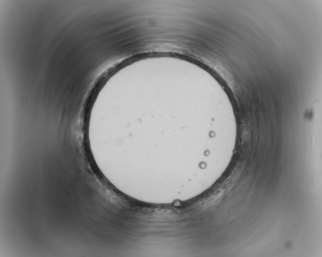 X0000101970979200808151334