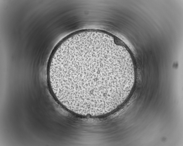 X0000101970980200808151334