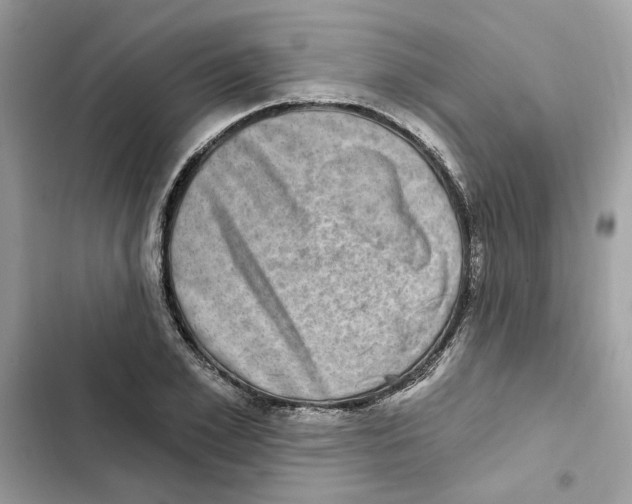 X0000101970981200808151334