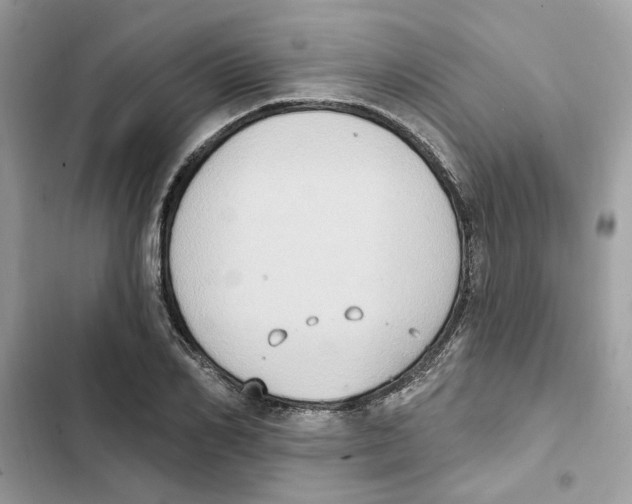X0000101970982200808151334