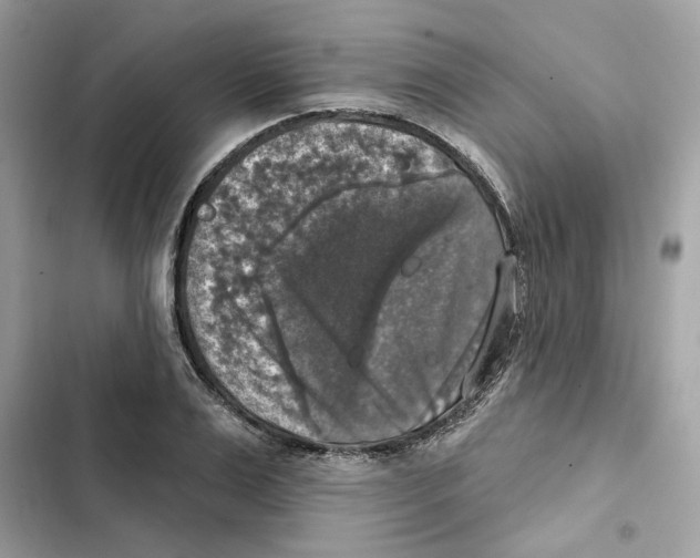 X0000101970983200808151334