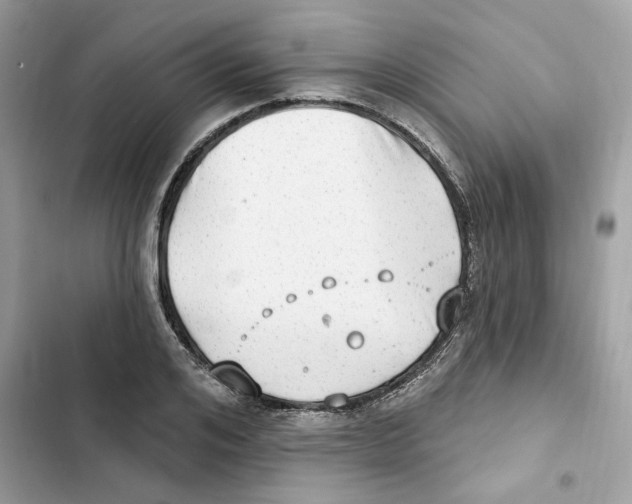 X0000101970984200808151334