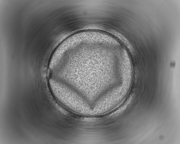 X0000101970985200808151334
