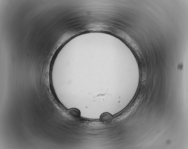 X0000101970986200808151334