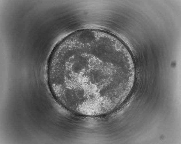 X0000101970987200808151334