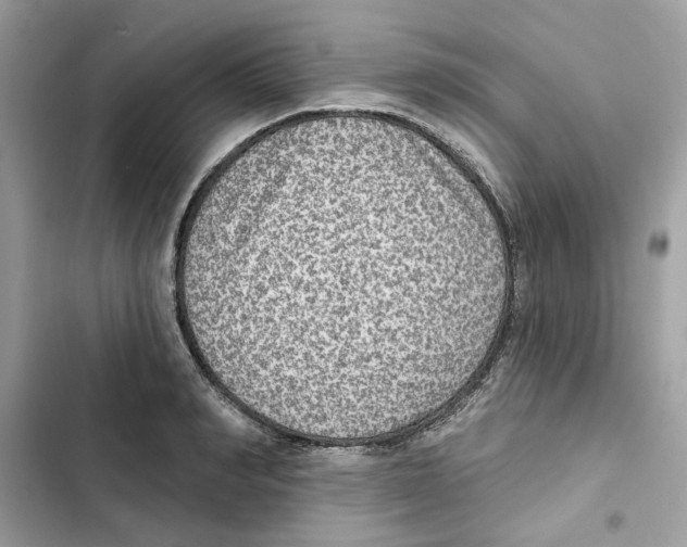 X0000101970990200808151334