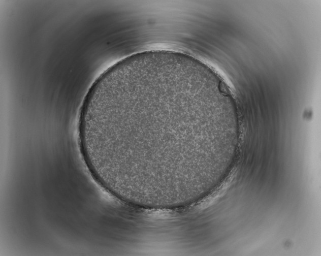 X0000101970991200808151334
