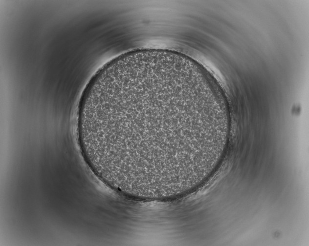 X0000101970992200808151333