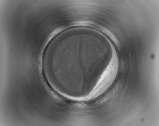 X0000101970994200808151333