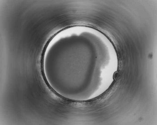 X0000101970995200808151333