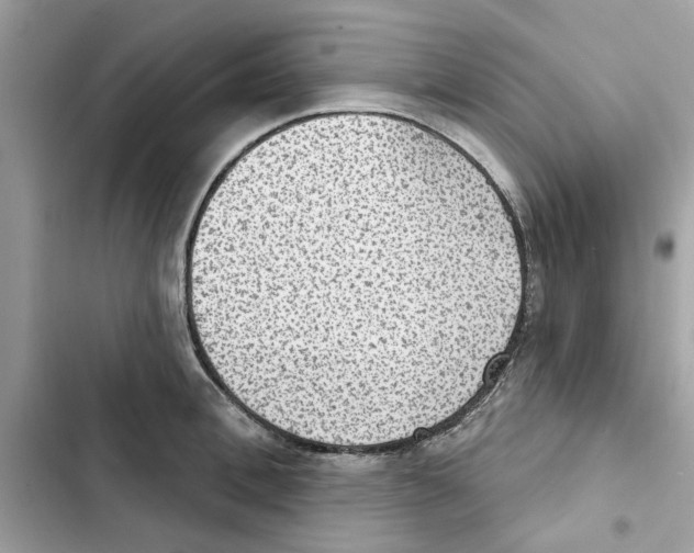 X0000101970996200808151333