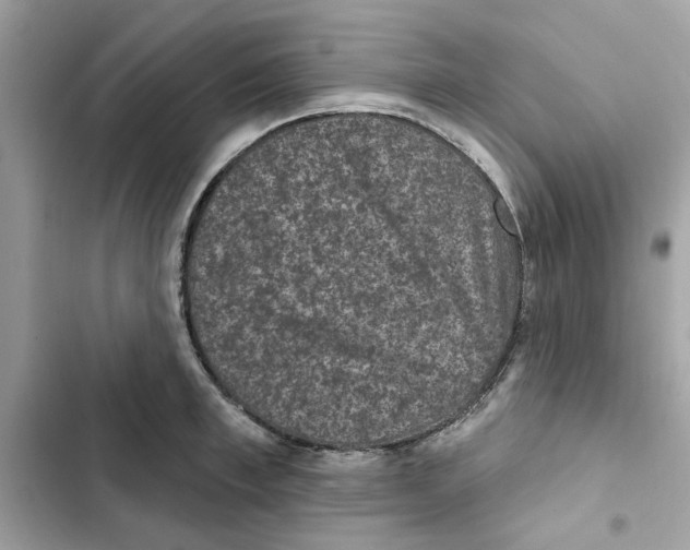X0000101970997200808151333