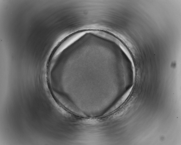 X0000101970998200808151333
