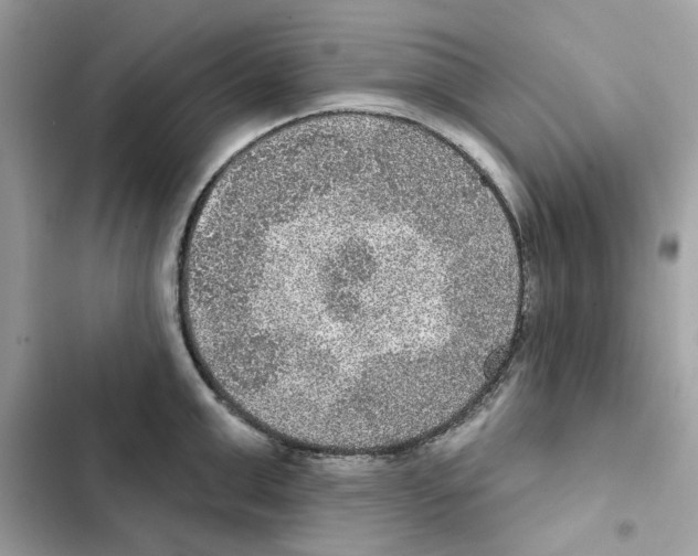 X0000101970999200808151333