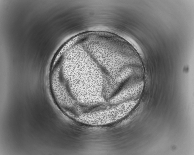 X0000101971000200808151333