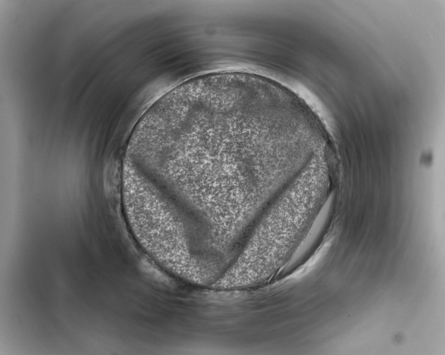 X0000101971001200808151333