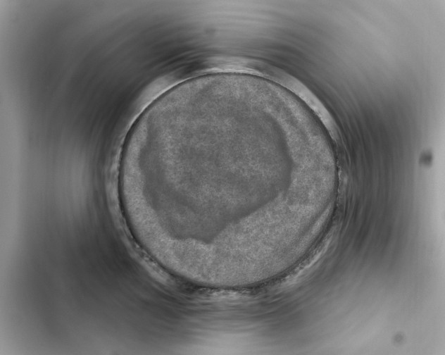 X0000101971002200808151333
