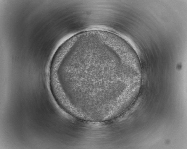 X0000101971003200808151333