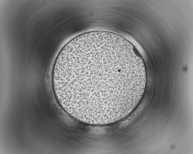 X0000101971004200808151333