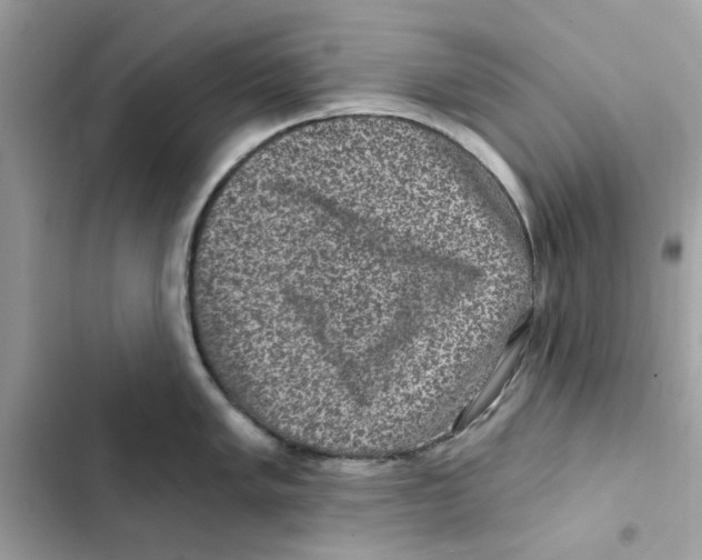 X0000101971005200808151333