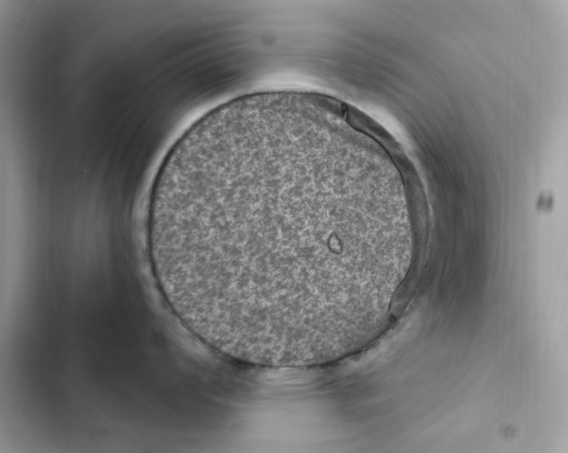 X0000101971008200808151333