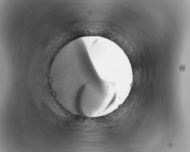 X0000101971009200808151333