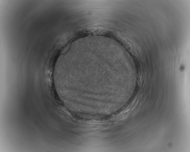 X0000101971010200808151333