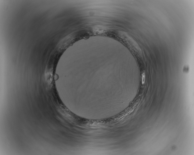 X0000101971011200808151333