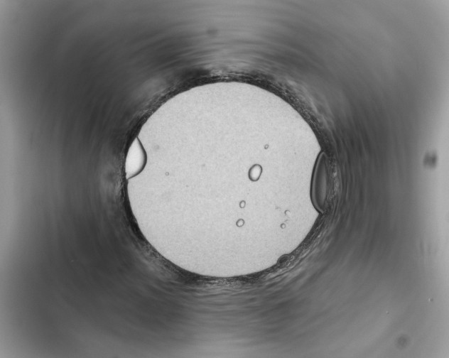 X0000101971012200808151333