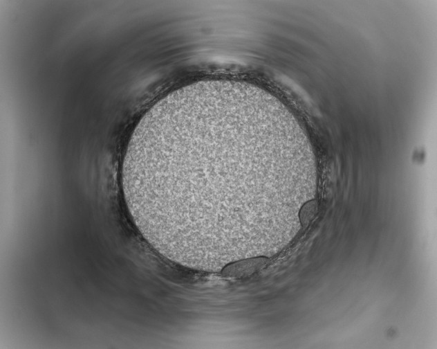 X0000101971013200808151333