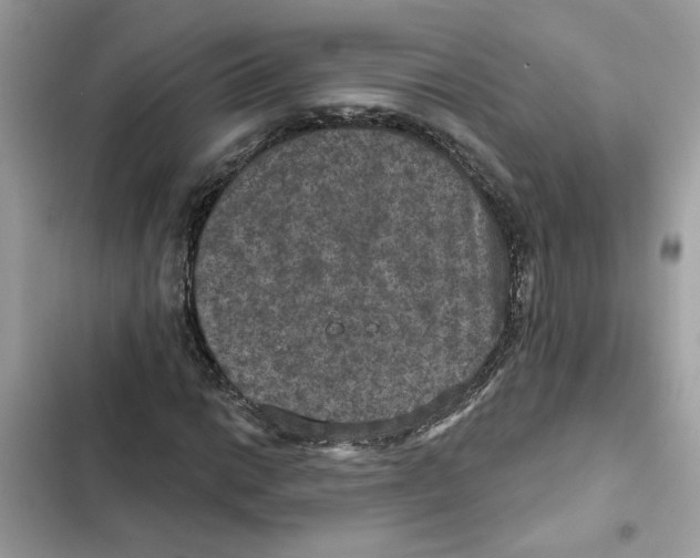 X0000101971014200808151333