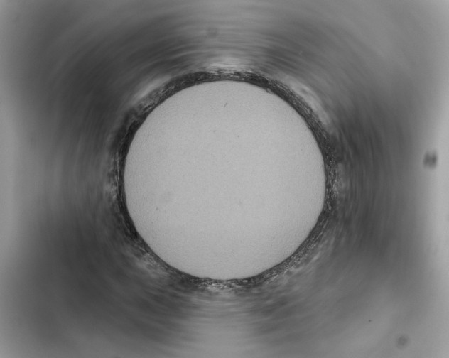 X0000101971015200808151333