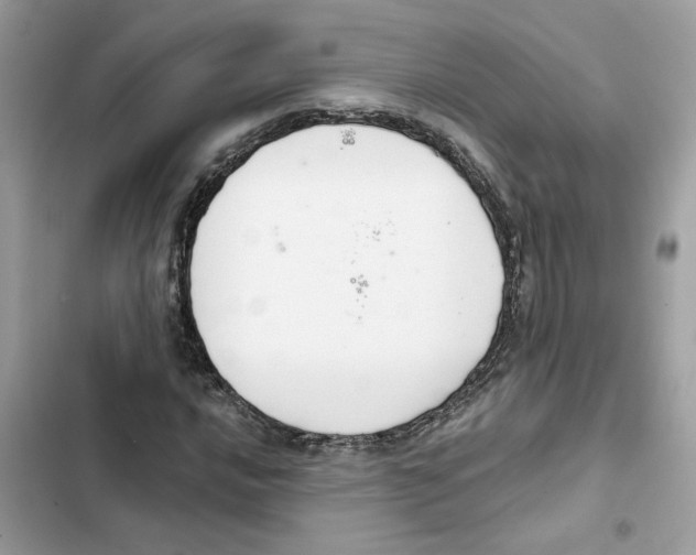 X0000101971016200808151333