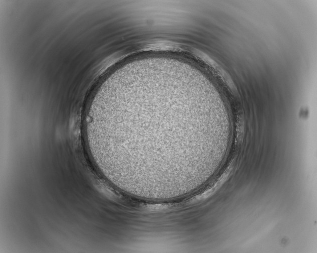 X0000101971017200808151333