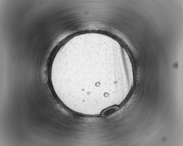 X0000101971018200808151333