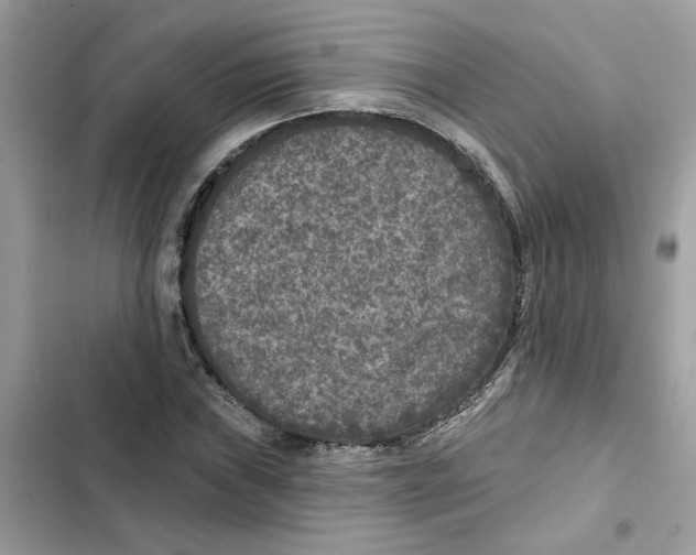 X0000101971019200808151333