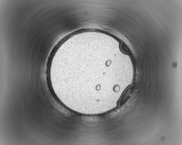X0000101971020200808151333