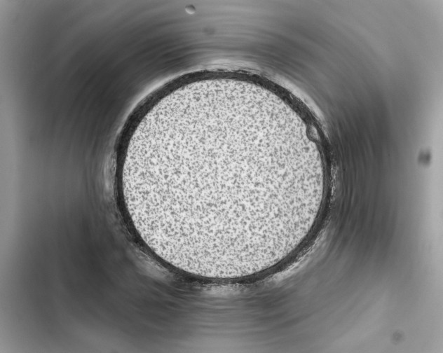 X0000101971021200808151333