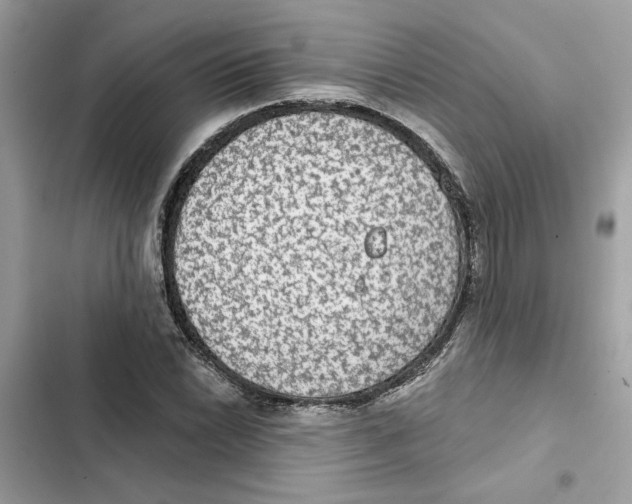 X0000101971022200808151333