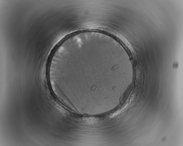 X0000101971023200808151333