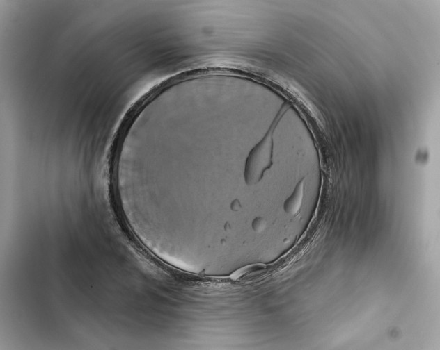 X0000101971024200808151333