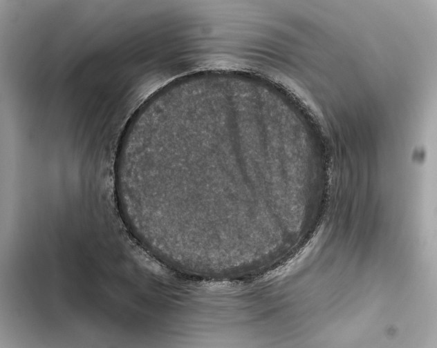 X0000101971025200808151333