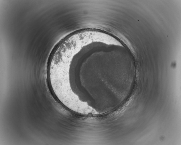 X0000101971028200808151333