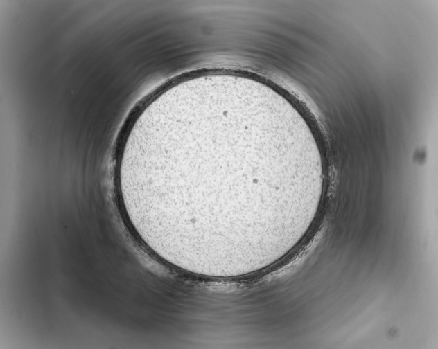 X0000101971029200808151333