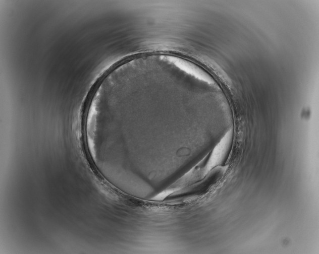 X0000101971031200808151333