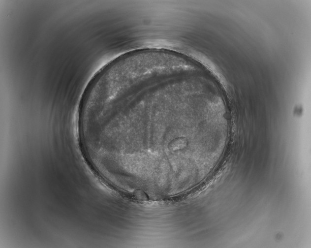 X0000101971032200808151333