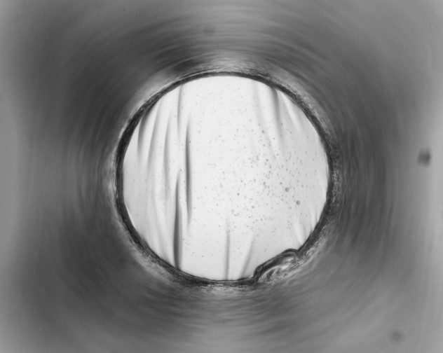X0000101971034200808151333
