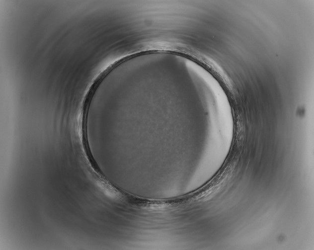 X0000101971035200808151333