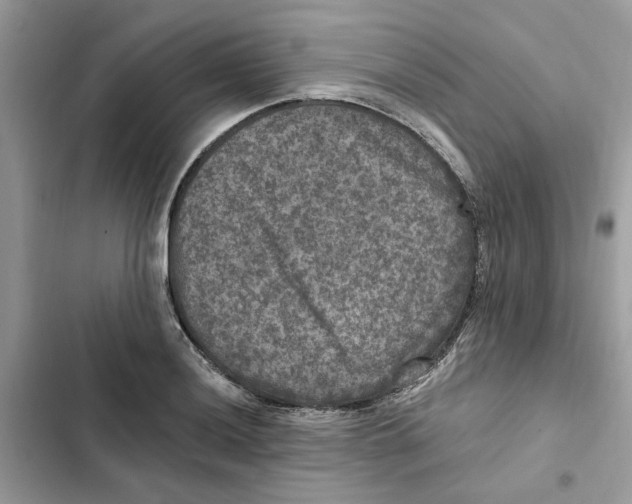 X0000101971036200808151333